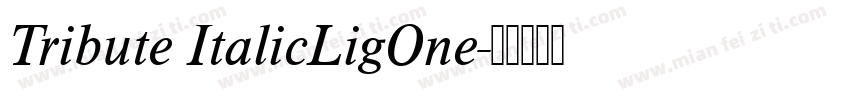 Tribute ItalicLigOne字体转换